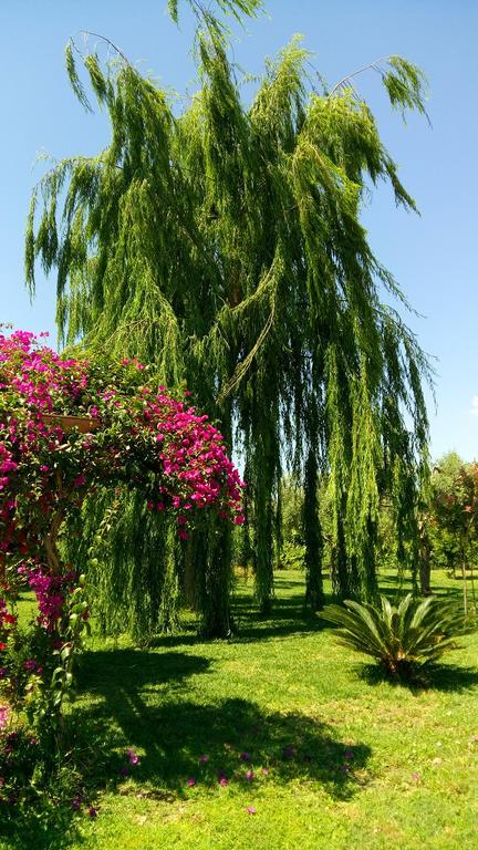 مبيت وإفطار سيراكوزا La Casa Dei Sogni المظهر الخارجي الصورة